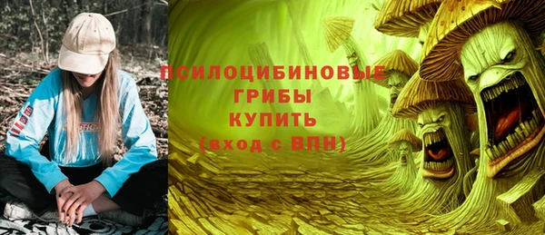 дмт Алексин
