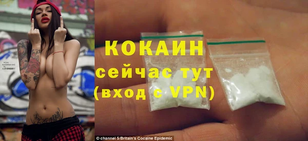 винт Алзамай